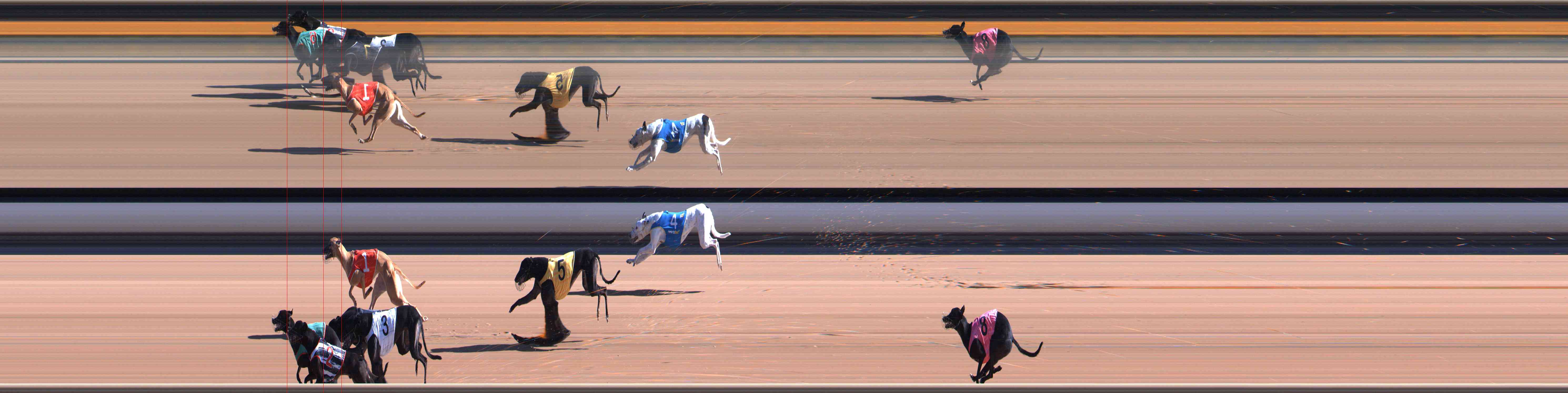 Race result finish photo